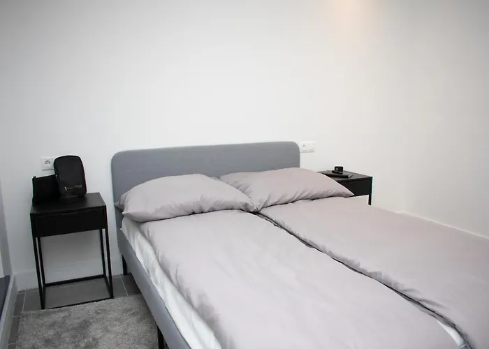Luxury Cozy 2 Bdr Downtown Apt.5